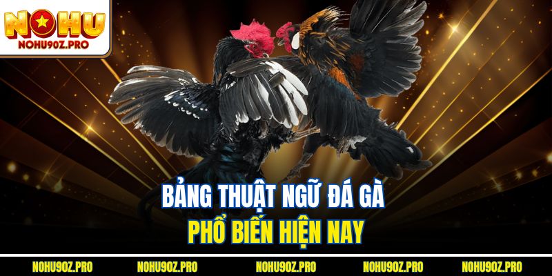 Bảng thuật ngữ đá gà phổ biến hiện nay