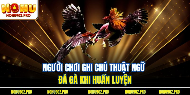 Người chơi ghi chú thuật ngữ đá gà khi huấn luyện